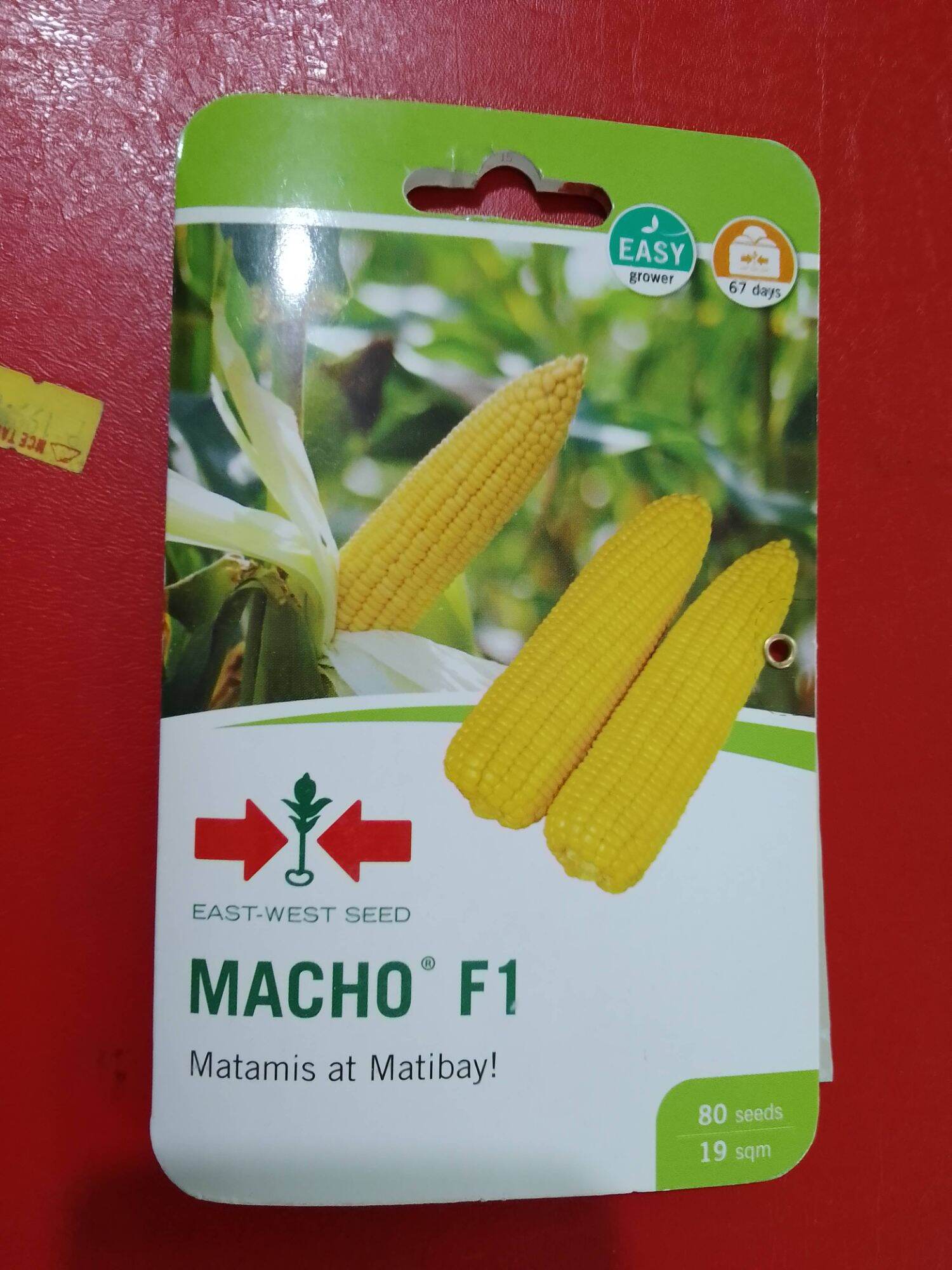 MACHO F1 HYBRID SWEET CORN (80SEEDS)BY EAST WEST SEEDS Lazada PH