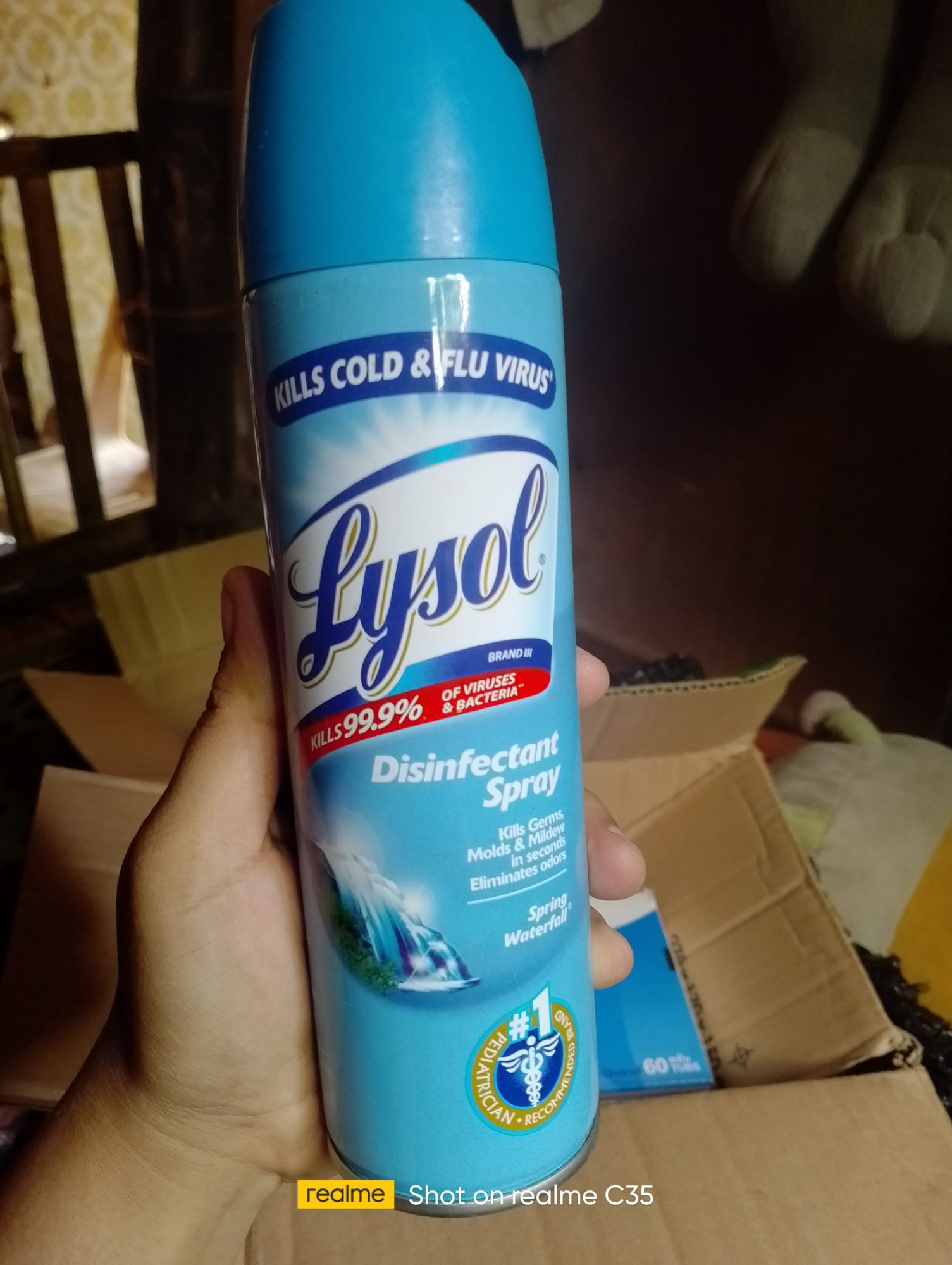 Lysol Disinfectant Spray 170g Lazada Ph 5938