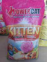 POWER CAT KITTEN