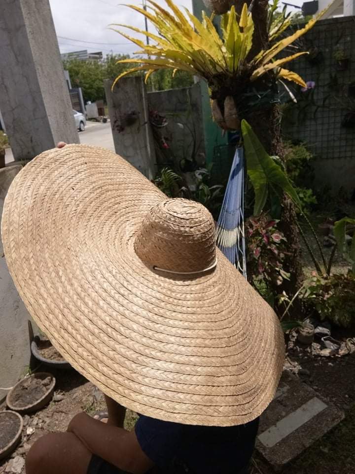 Clara Wide Brim Straw Hat, Natural