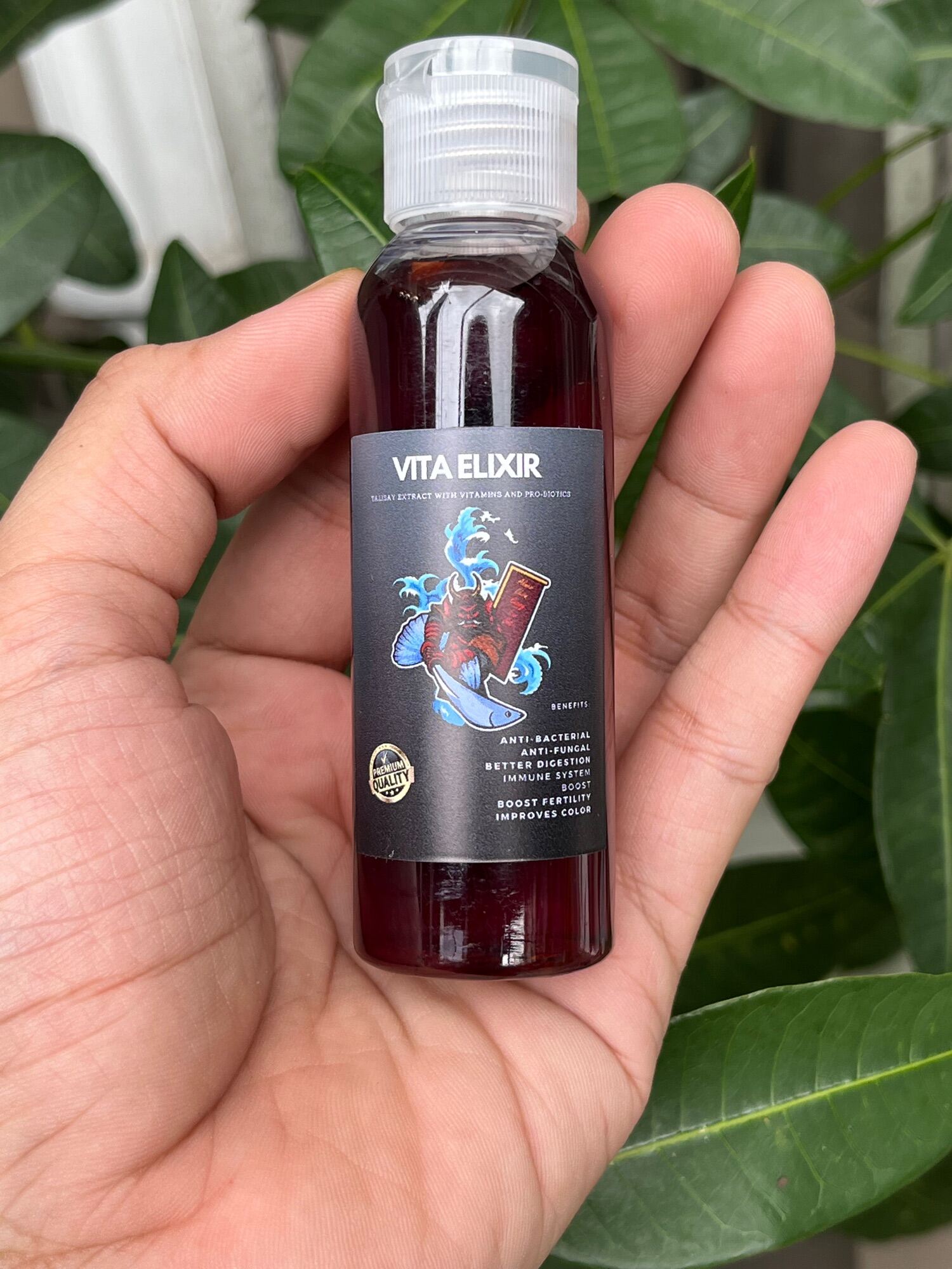 Talisay extract, fish vitamins, fish probiotics, concentrated ketapang, aquarium, fish
