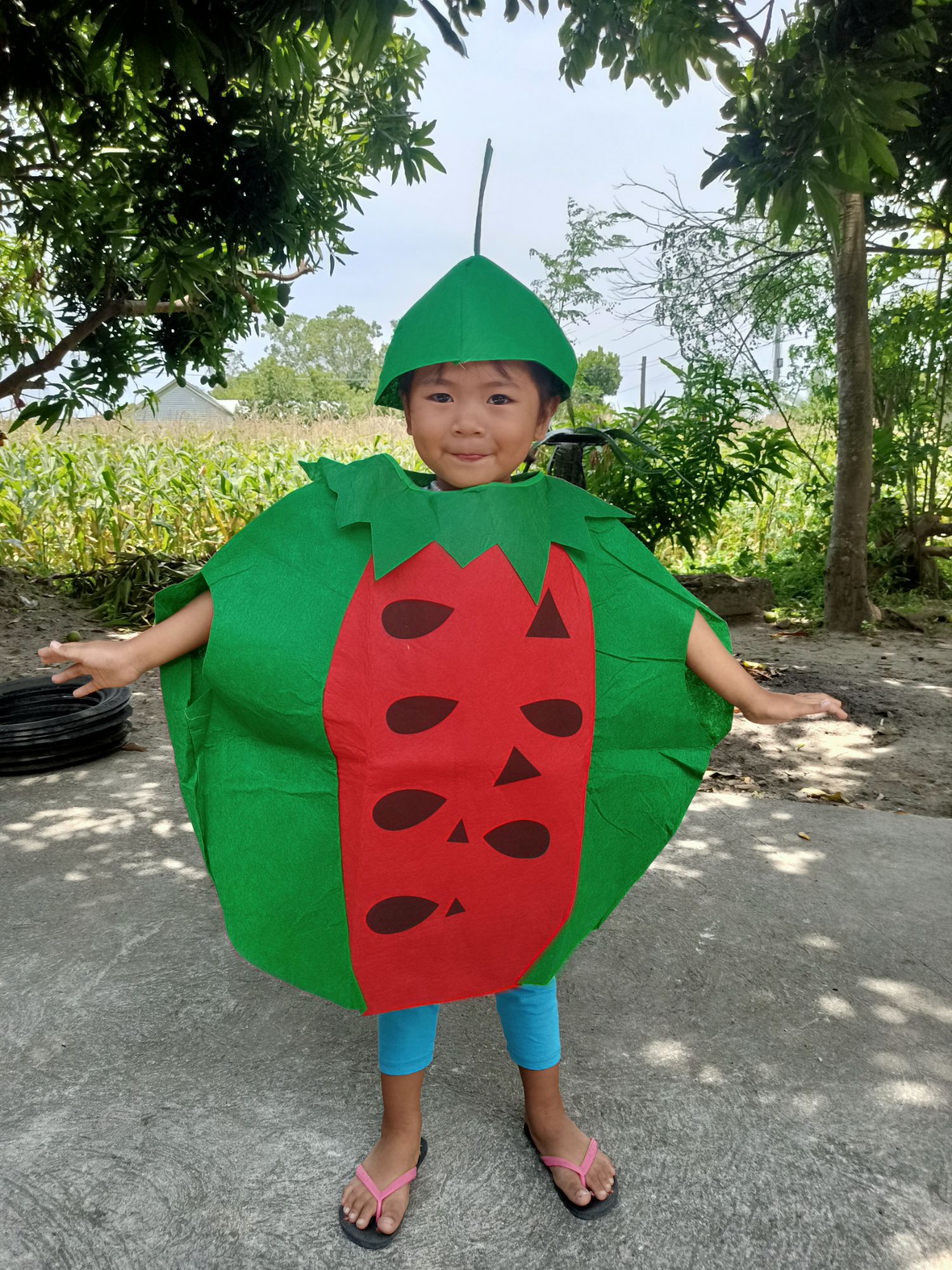 Buy BookMyCostume Watermelon Fruit Kids Fancy Dress Costume 2-3 years  Online at Lowest Price Ever in India | Check Reviews & Ratings - Shop The  World