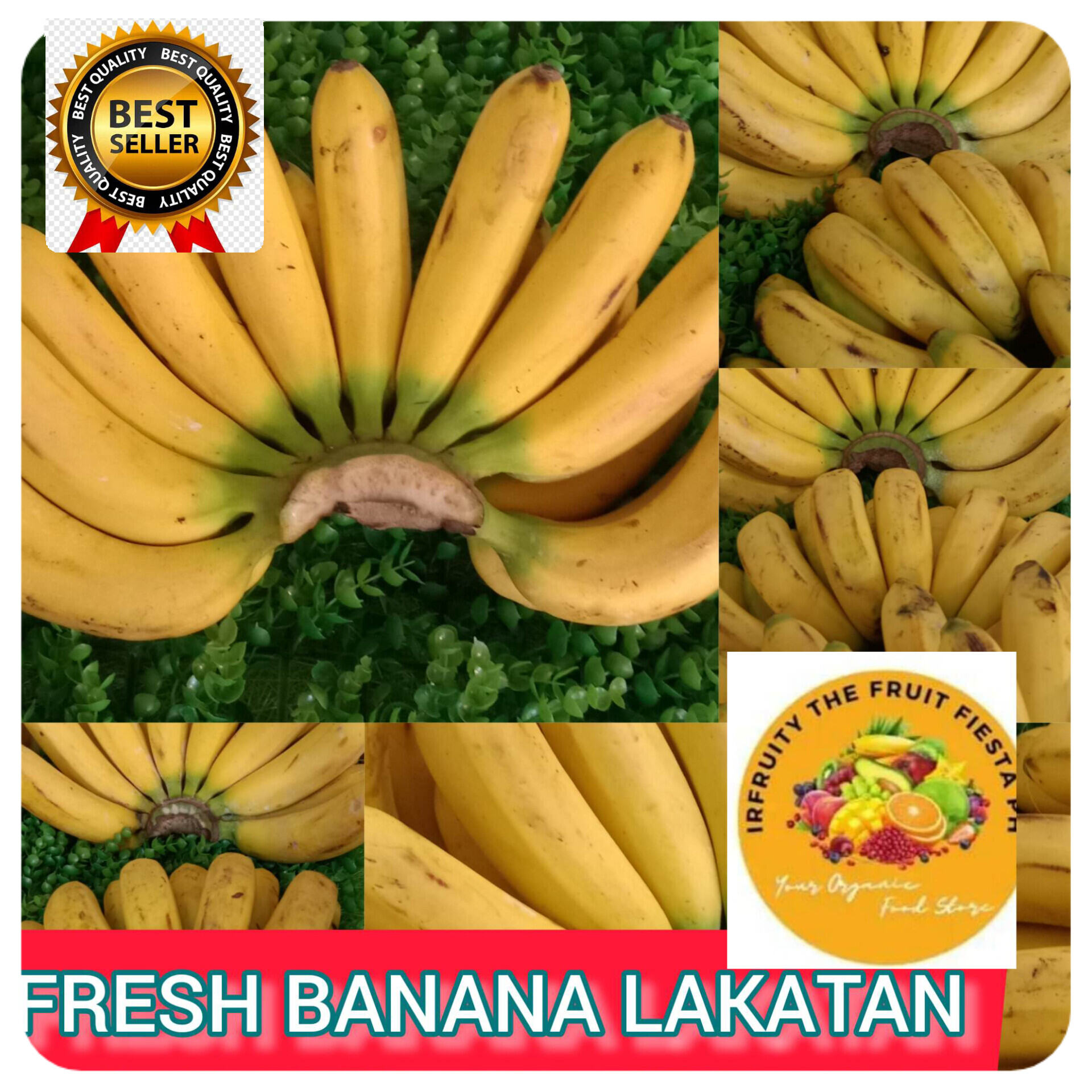 FRESH BANANA LAKATAN CLASS A 100/KILO(190 FOR 1 CLUSTER) Lazada PH