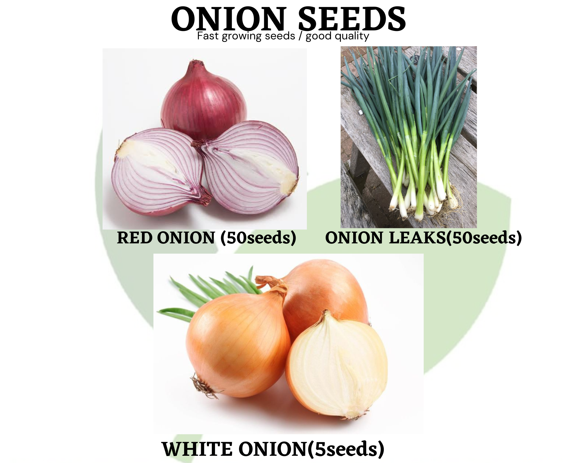 Value Pack Onion Seeds / Red Onion / White onion / Onion Leaks Lazada PH
