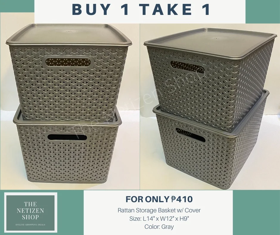Rattan Style Plastic Storage Basket Container with Lid - Gray/Silver - B