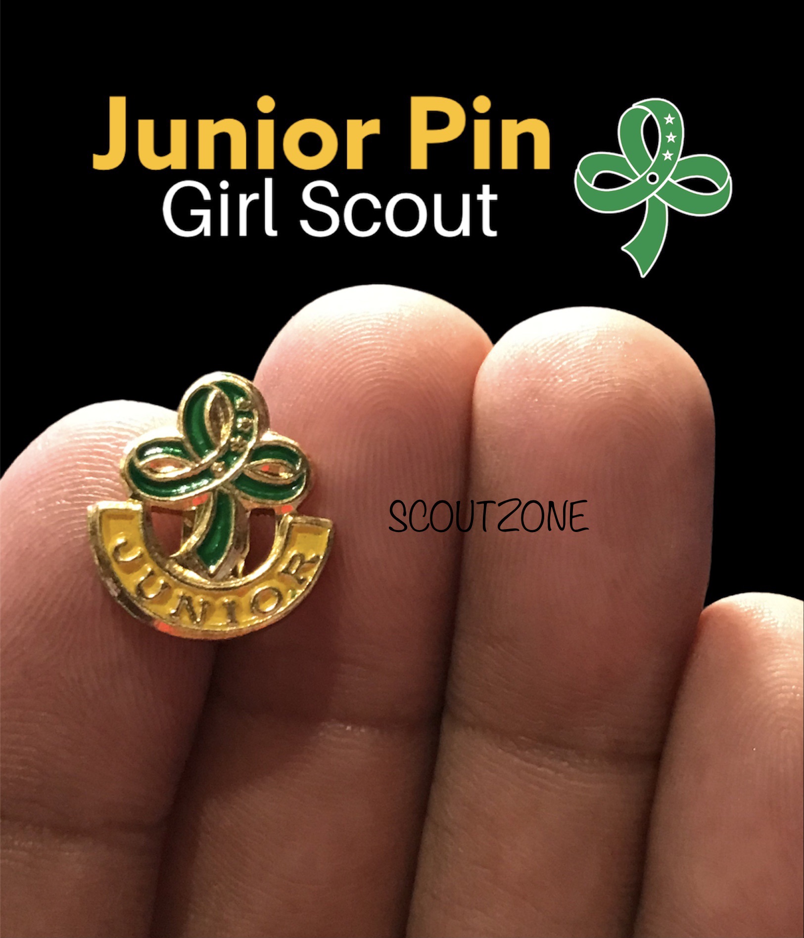 [GSP Pin] Twinkler Pin Star Junior Senior Scout Pin Holder World Pin ...