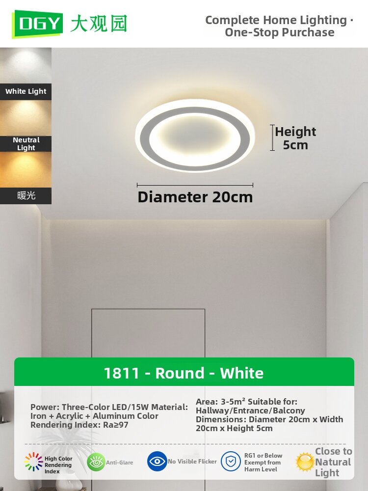DGY | Luxury Nordic LED Ceiling Light