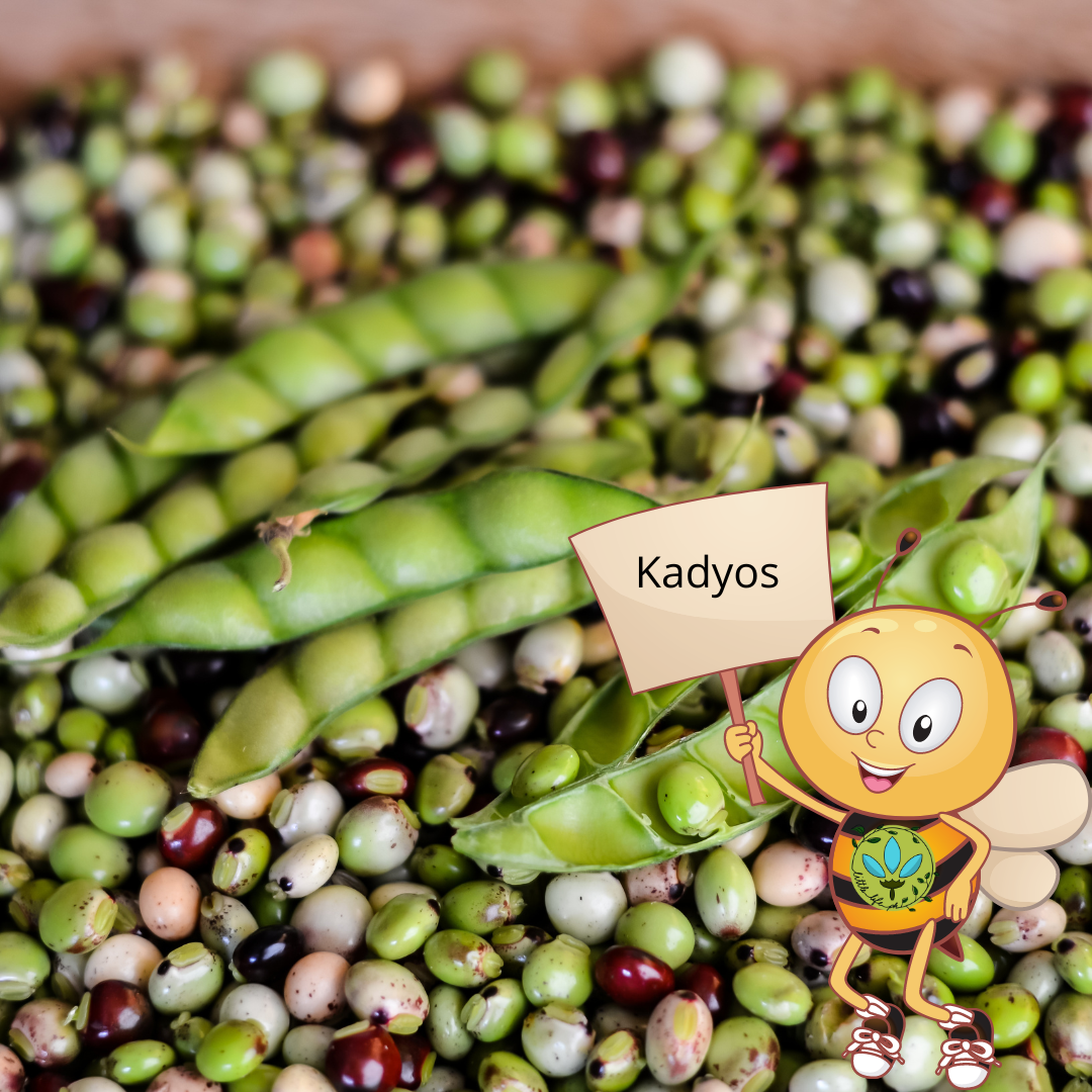 Oh My Gulay Kadyos Are Native Blackeyed Beans Or Pigeon, 60 OFF