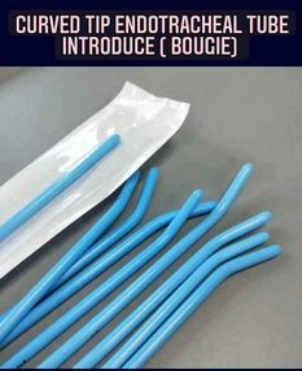 Gum Elastic Bougie Curved Tip Sealed Lazada PH