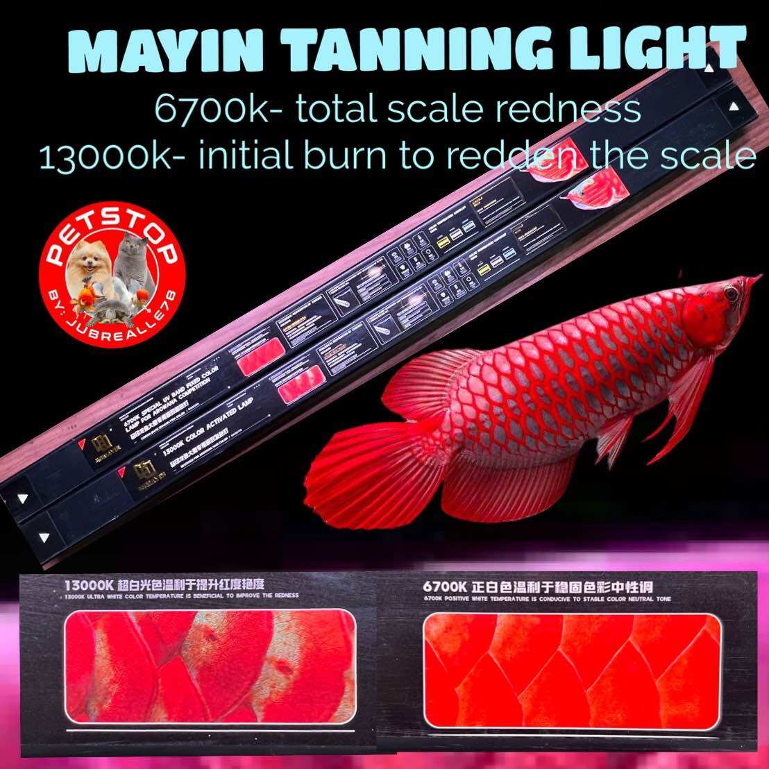 Get Tanning Light Arowana at the Best Prices Online | Lazada