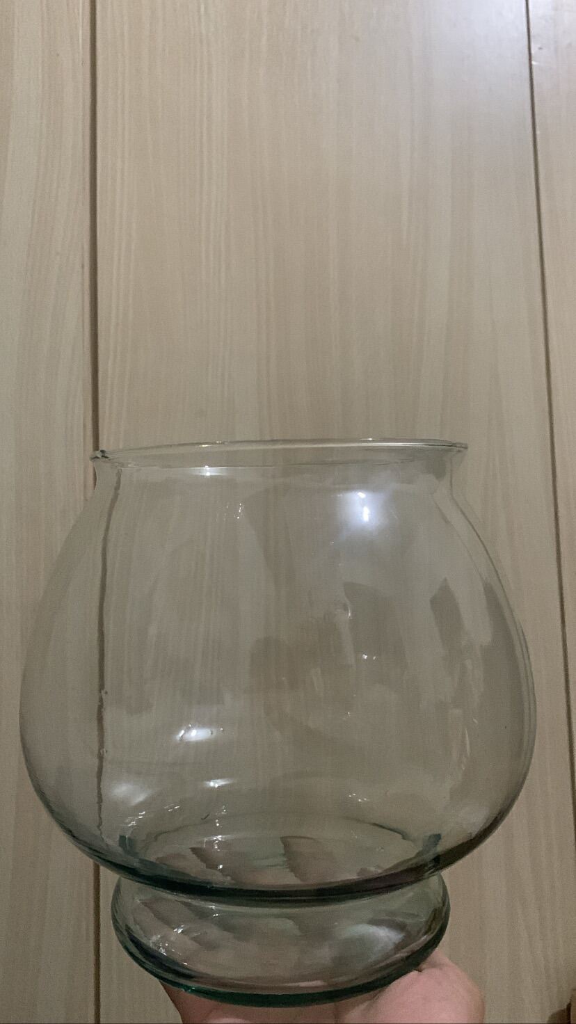 Glass Fish Bowl Large