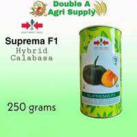 Suprema F1 Hybrid Calabasa - East West Seed