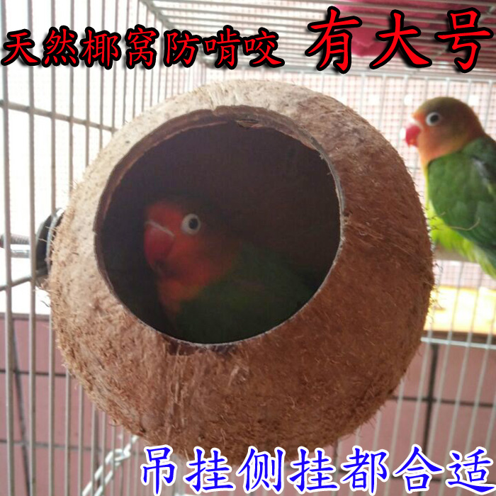 Bird Nest Ladder,House Hut Cage Staircase Could Feed Food Parrot Parakeet Natural Coconut Shell Ladder Toy 