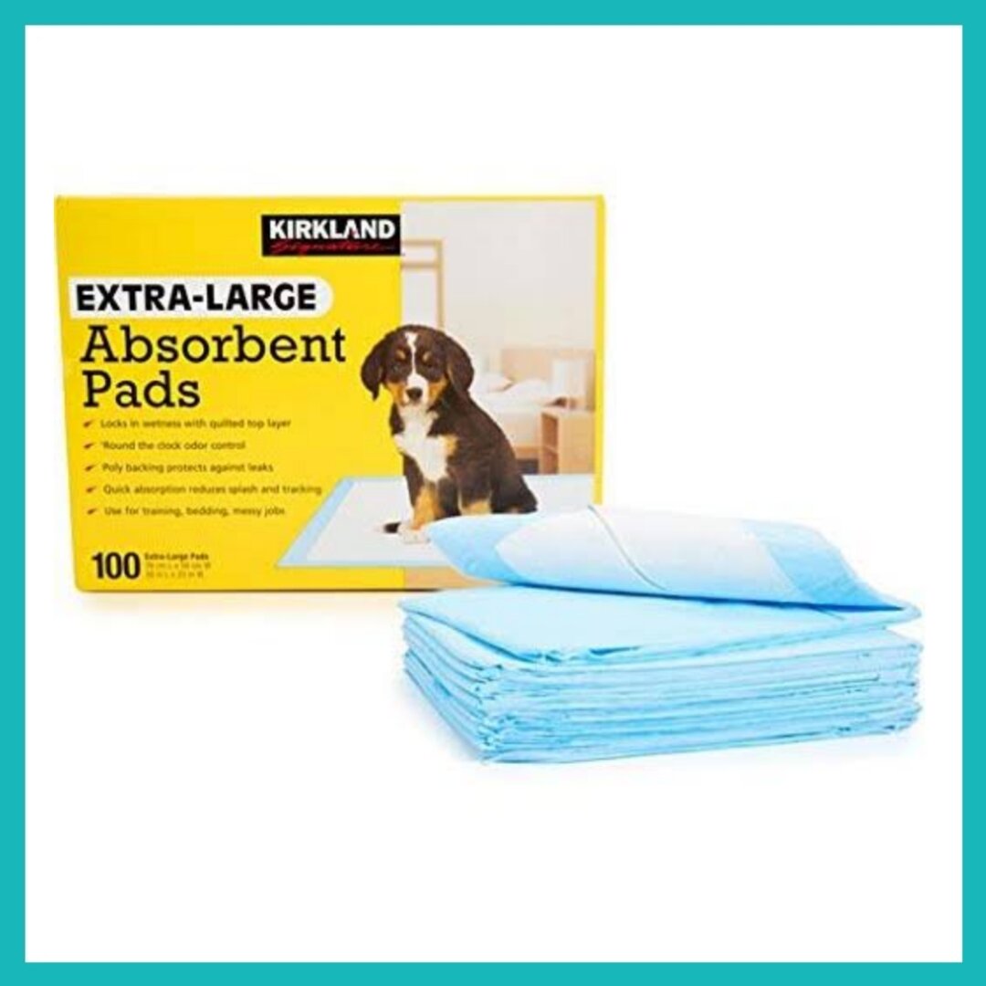 Kirkland Signature ExtraLarge Absorbent Pads 30" x 23" 100s Lazada PH