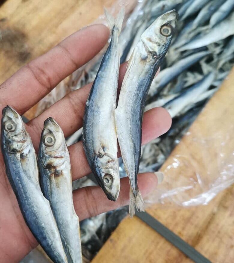 VACUUM SEALED Galunggong/marot/goodbye my head/manodlong dried fish per
