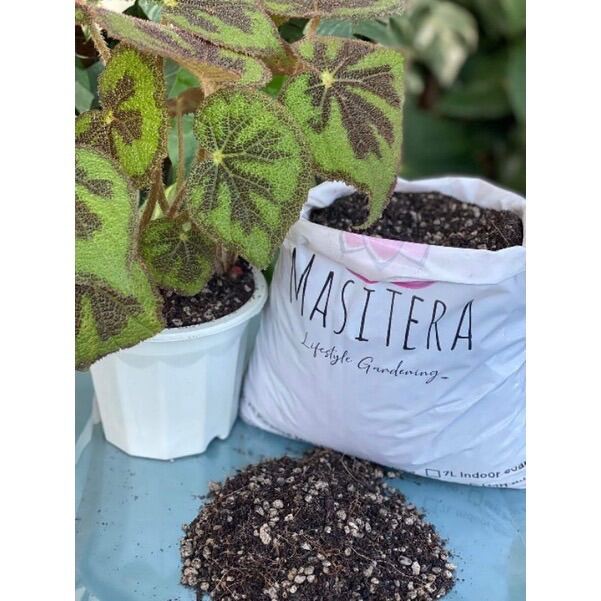 BEGONIA POTTING MIX ( for begonias only)