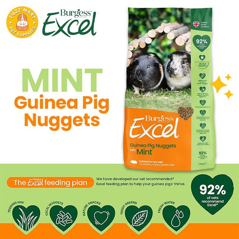 Burgess excel nuggets hotsell with mint guinea pig