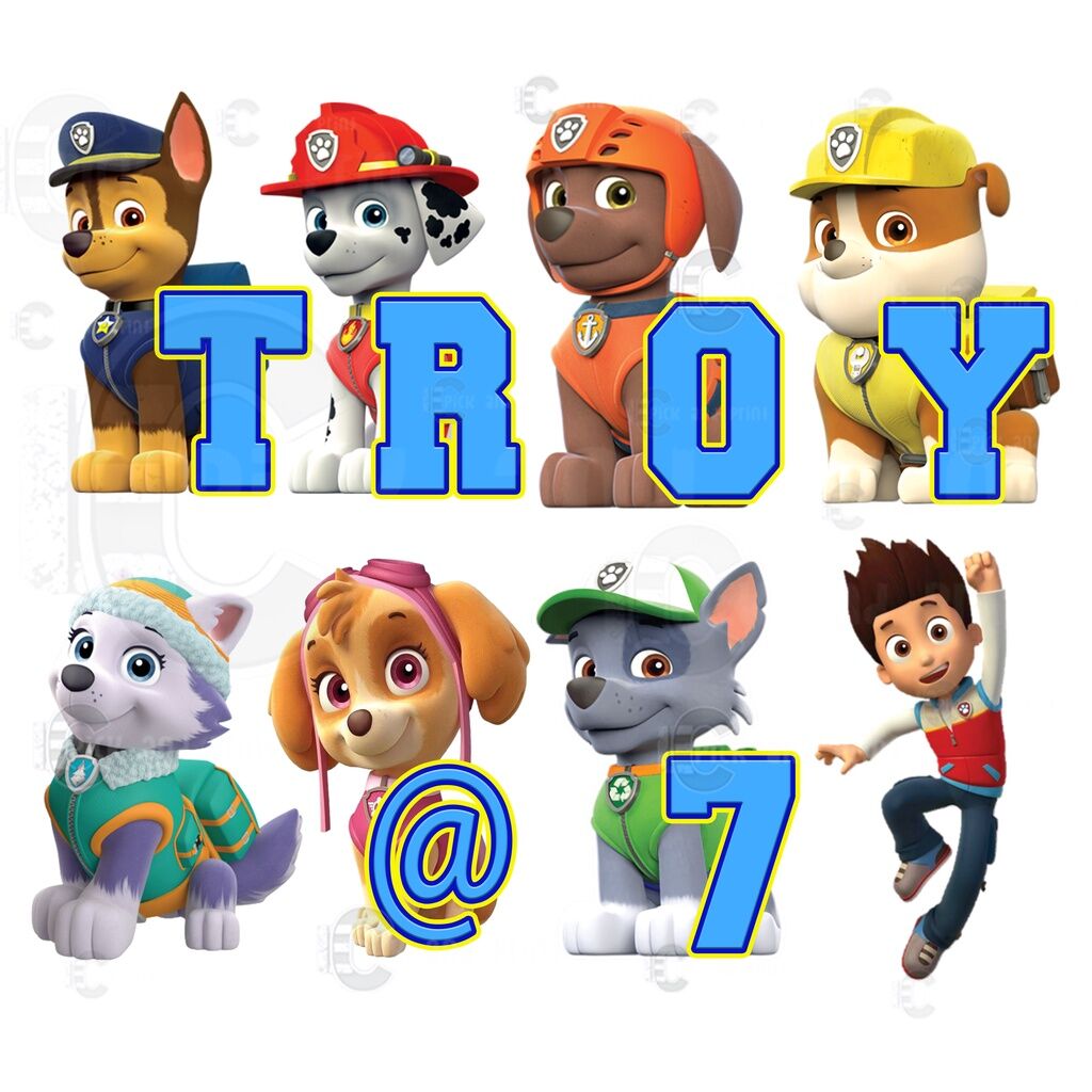 Personalized/Customized Paw Patrol Character Name Banner Bunting