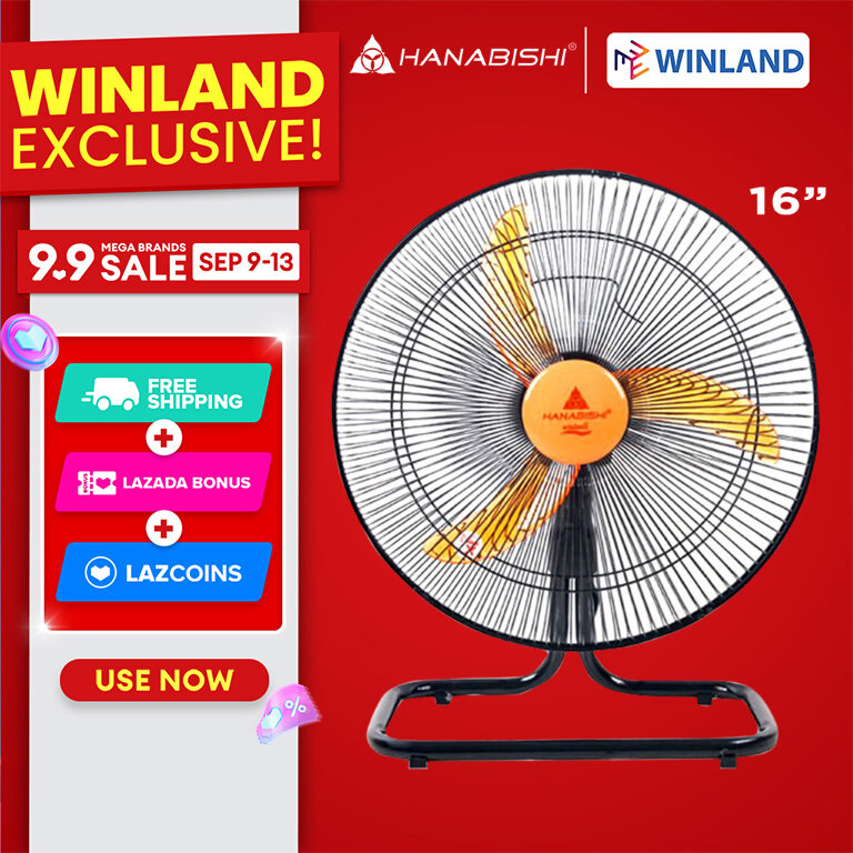 Hanabishi Winland Electric Fan 16GF: Desk and Ground Fan