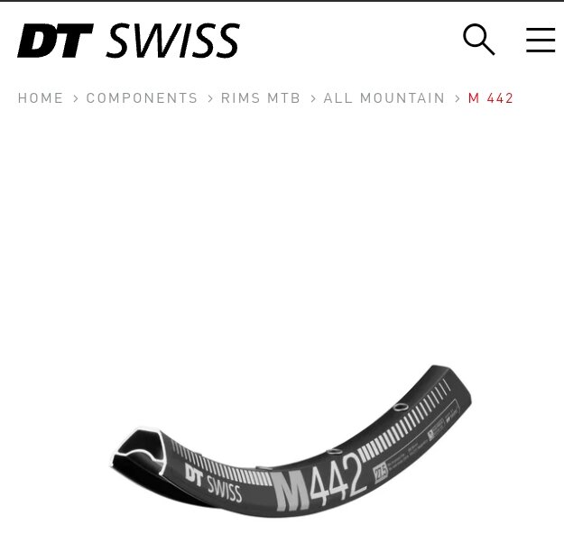 DT SWISS  M442  Tubeless Ready Rims