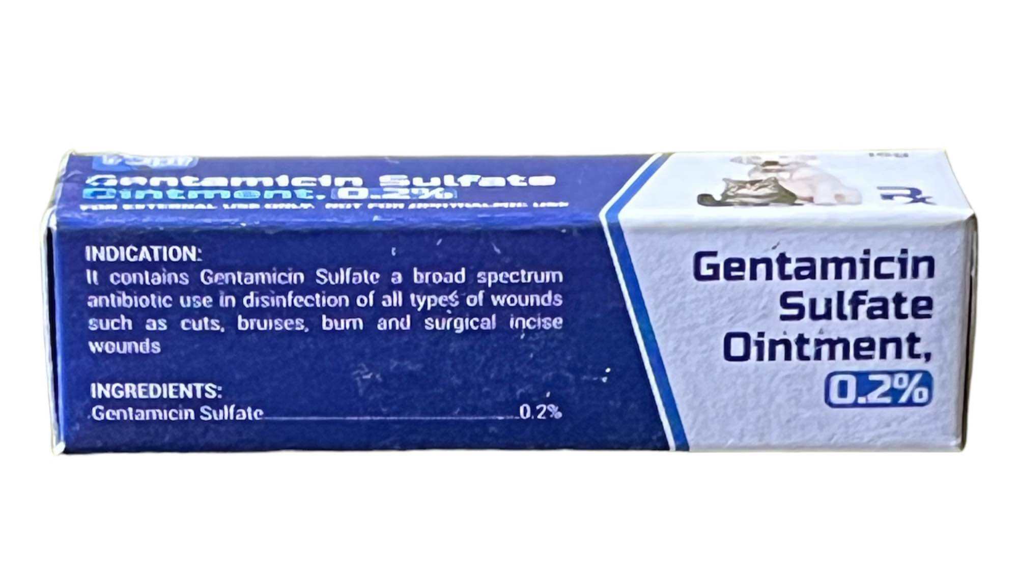 GENTAMICIN SULFATE OINTMENT 0.2 Lazada PH