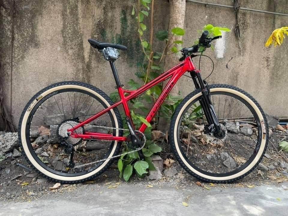 toseek cruz 29er