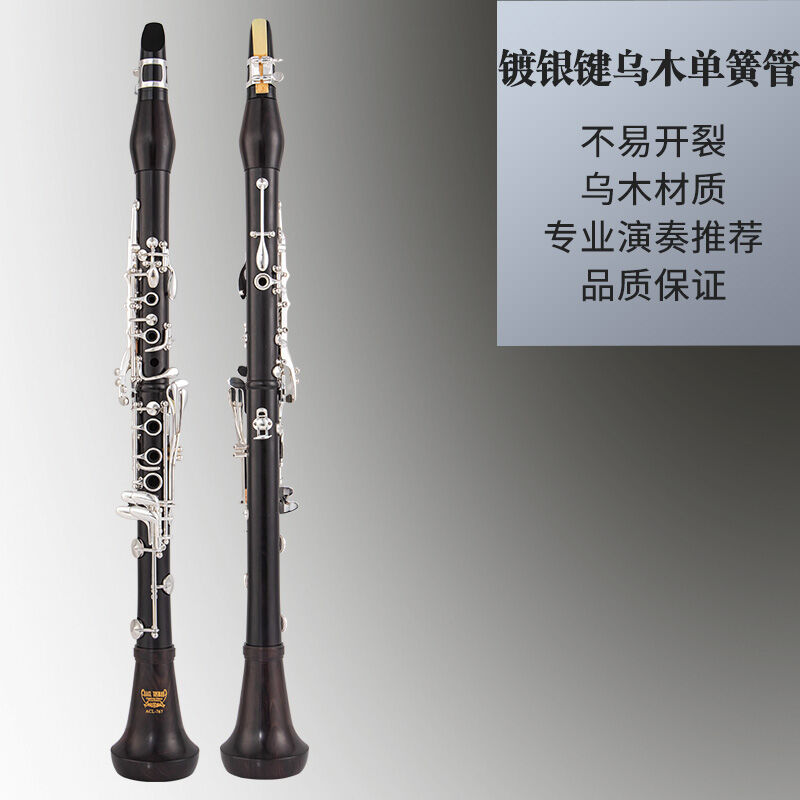 Taiwan Abel Tasman Acl767 Ebony Clarinet Professional Playing Gold Key ...