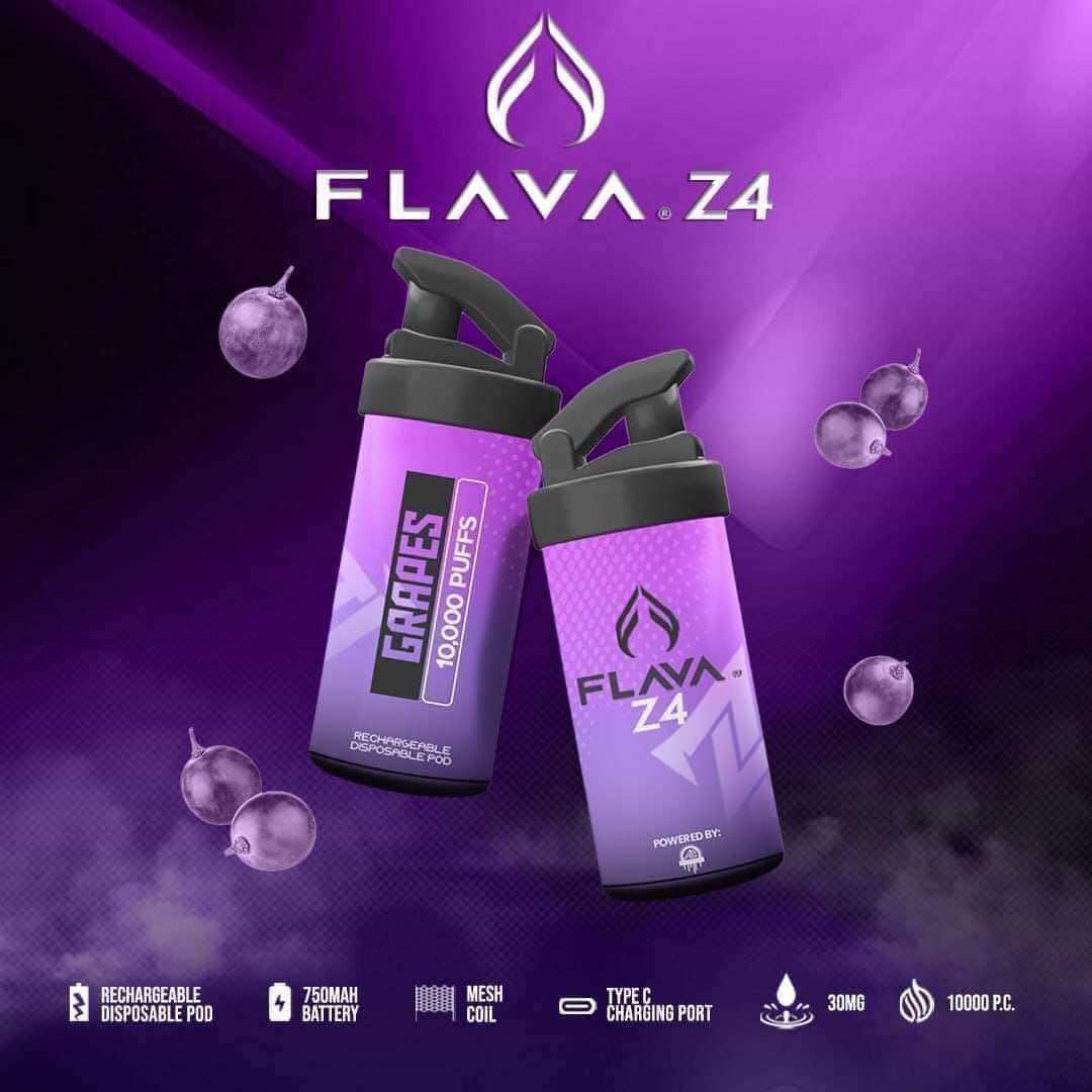 Flava Flava