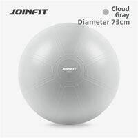 joinfit | Sensory Yoga Exercise Ball