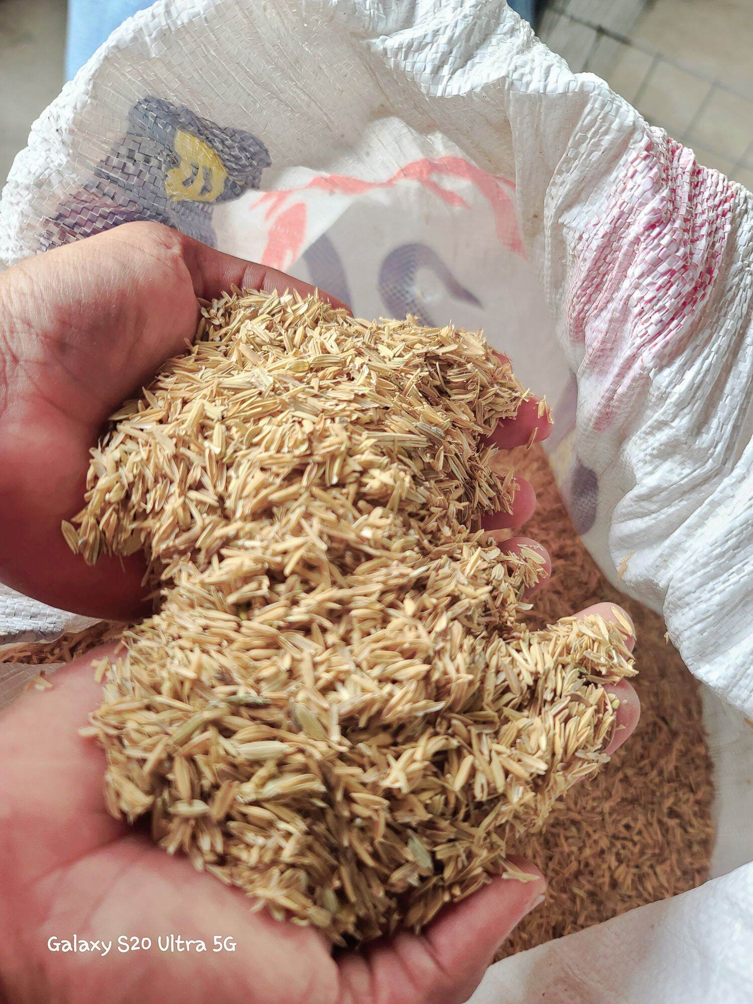 Fresh Rice Hull (Ipa ng Palay)