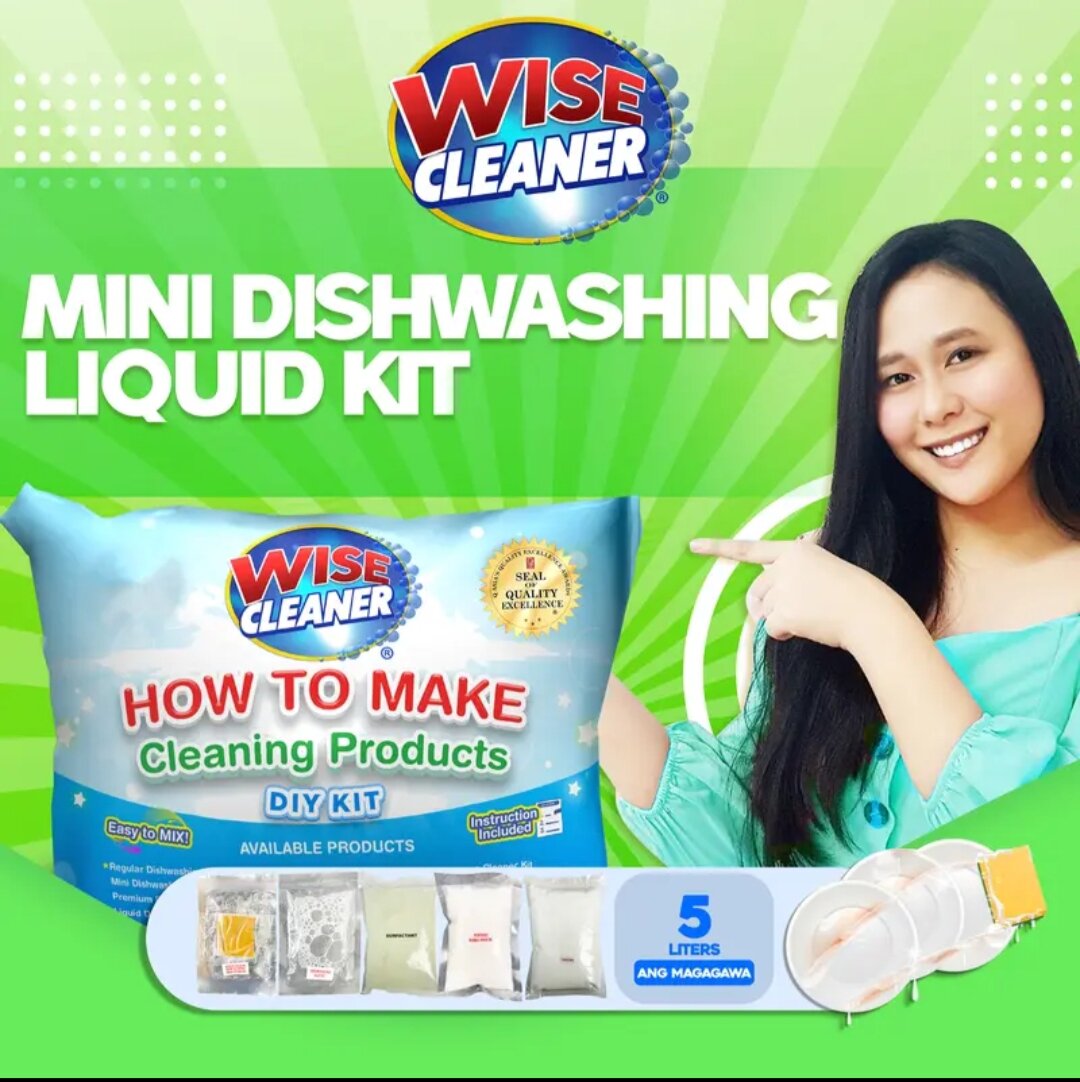 Wisecleaner discount