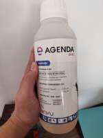 Bayer Agenda 25EC Fipronil Termiticide termite control soil poisoning
