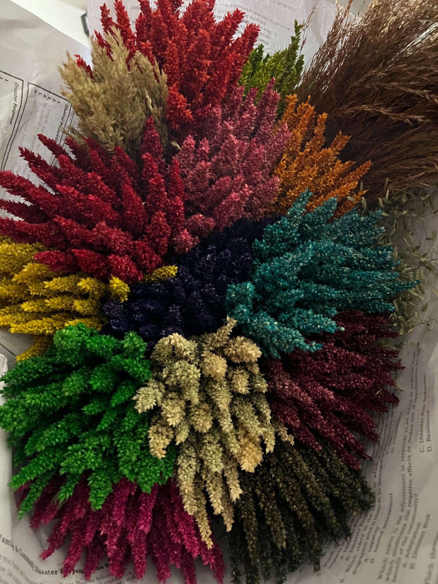Trigo Dried Flowers Lazada PH