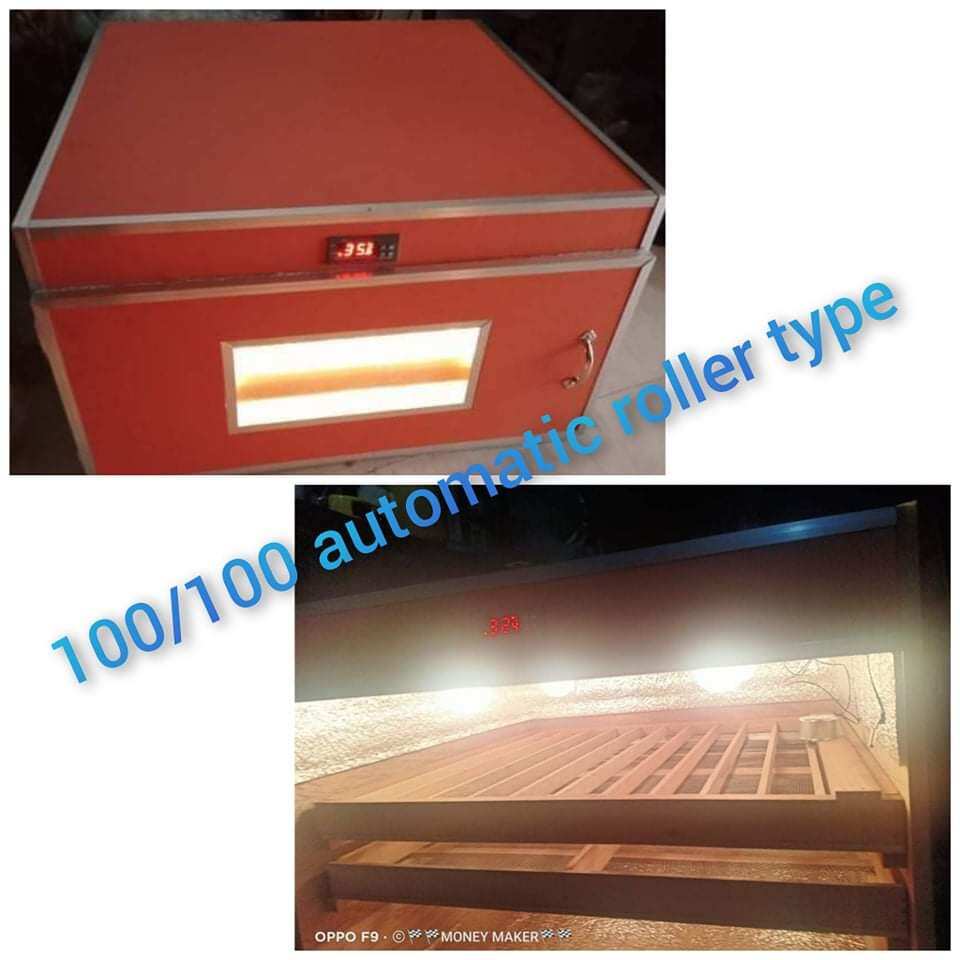 AUTO TURNER AND AUTO TEMP CONTROL 100 setter 100 hatcher Lazada PH