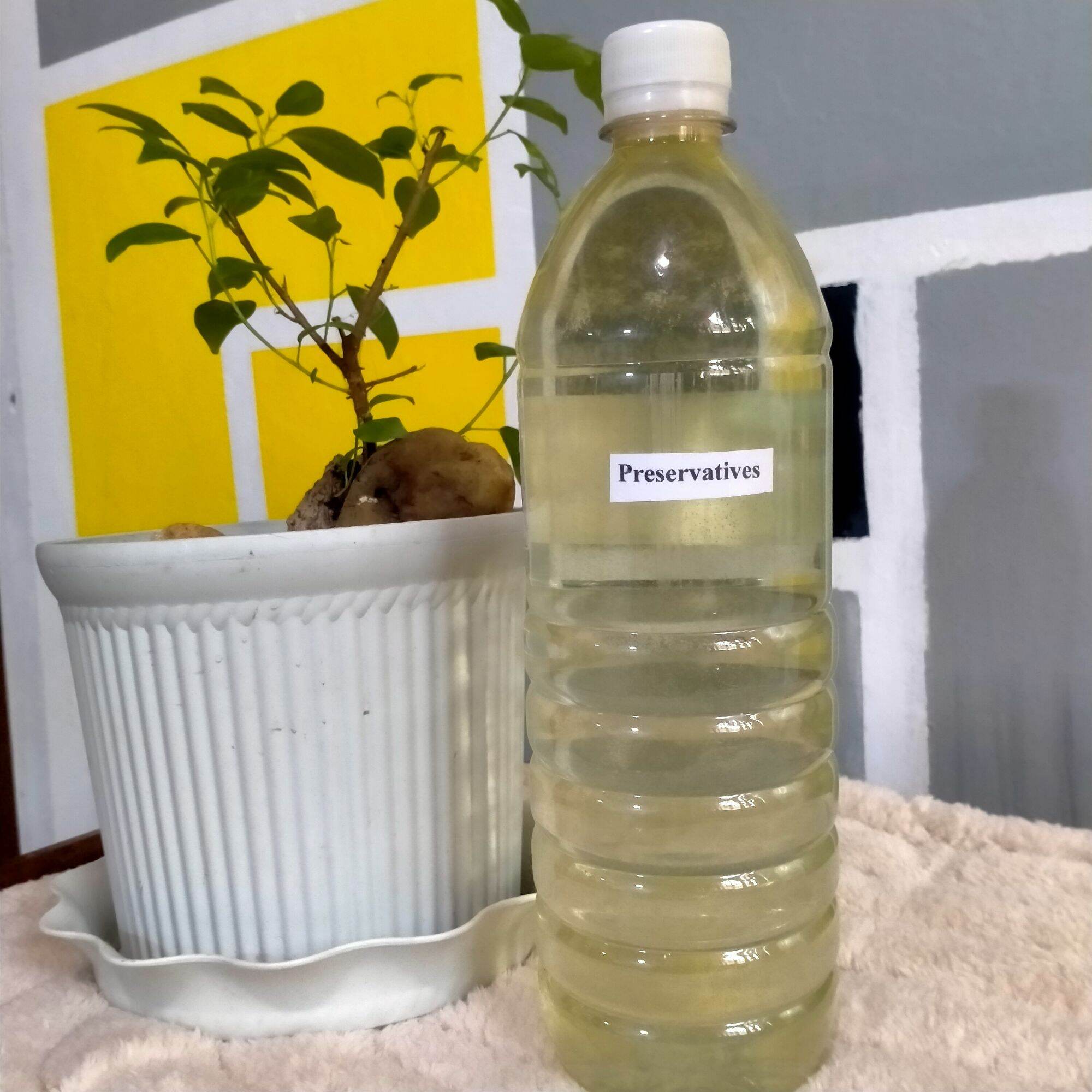 Dishwashing Liquid On Clothes at Barbara Barnard blog