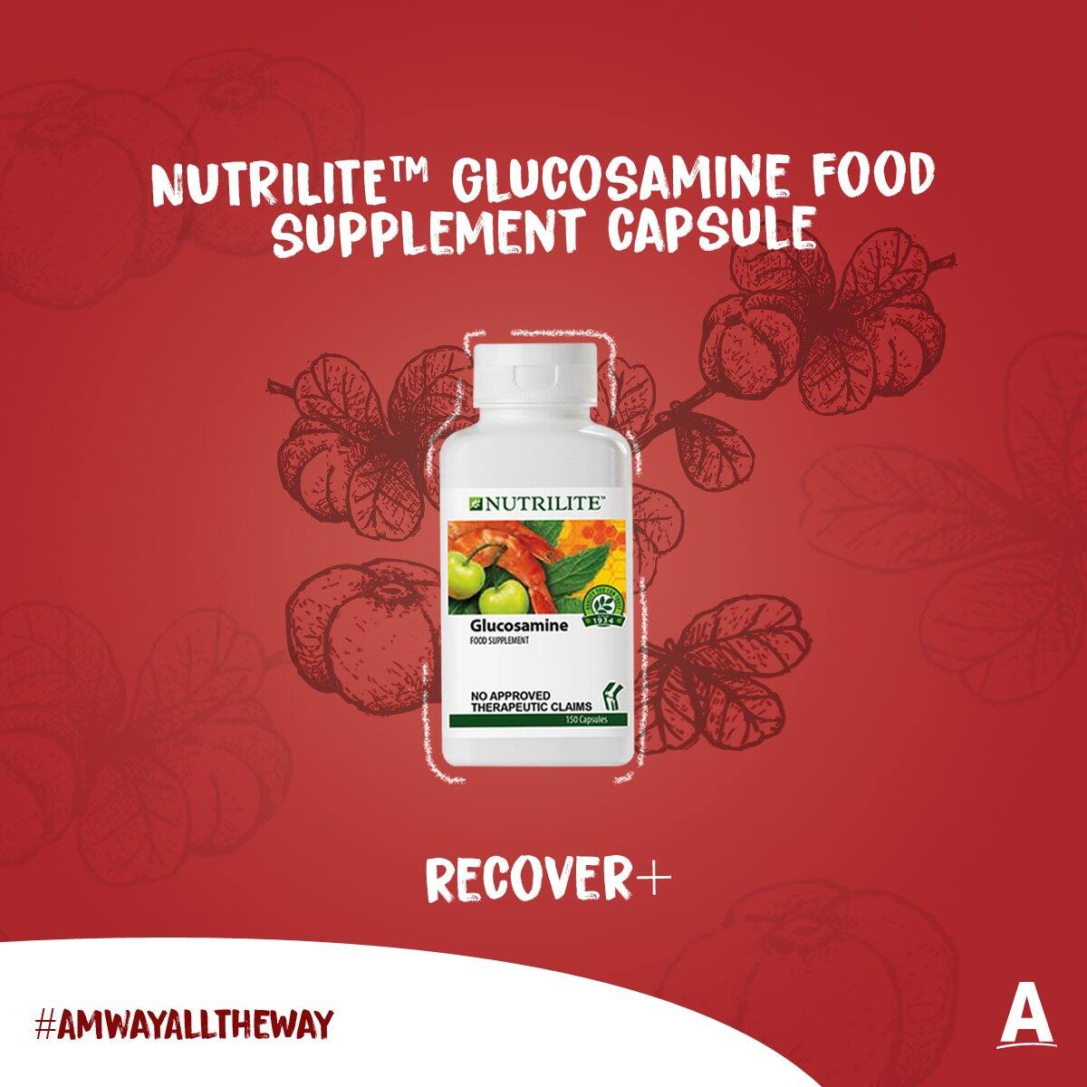 AMWAY NUTRILITE GLUCOSAMINE CAPSULE Lazada PH