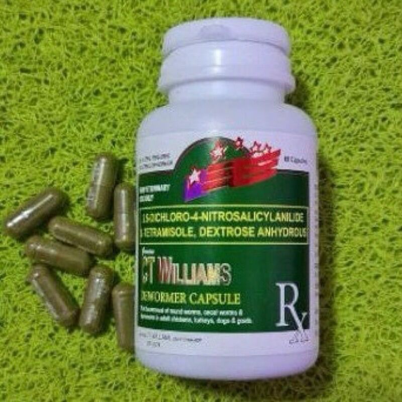 CT Williams Dewormer Capsule ( 1 capsule) Lazada PH