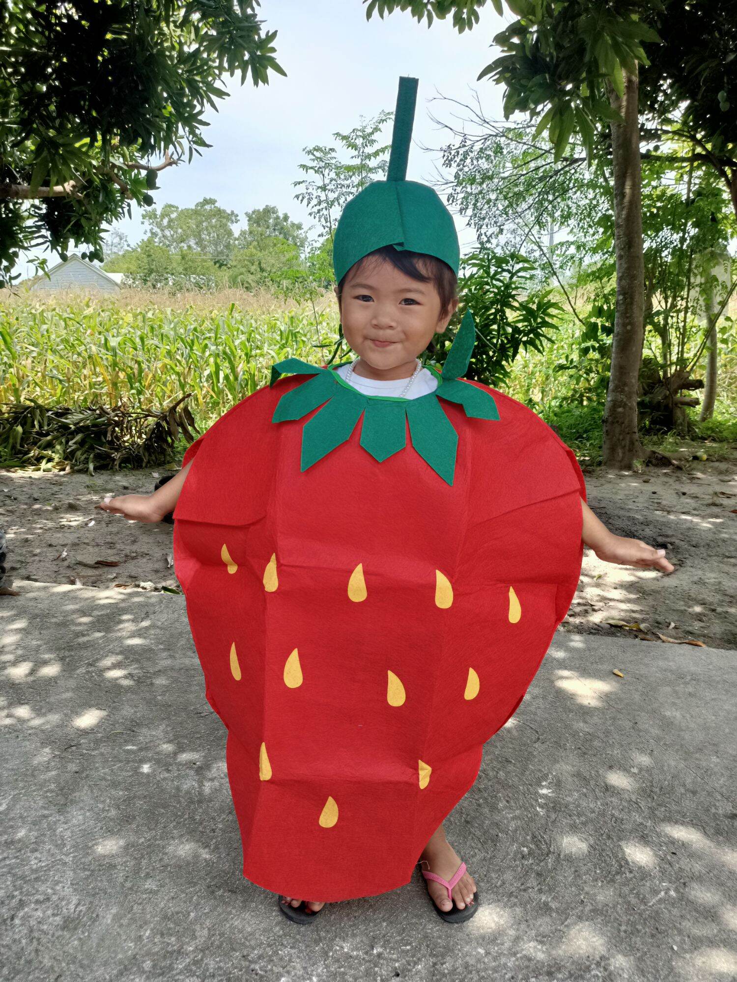Nutrition Month Costume Strawberry Free Size Fit up to 5 feet height