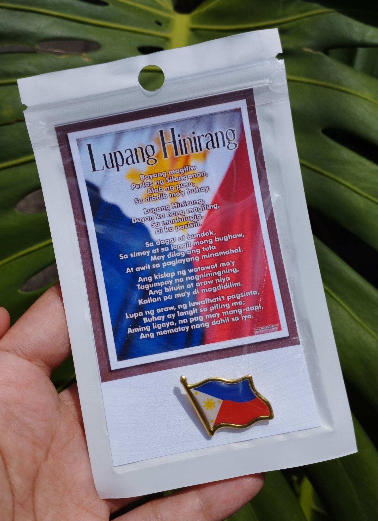 PHILIPPINE FLAG COLLAR PIN - LACQUER POLISHED AND WITH METAL CLUTCH PIN ...