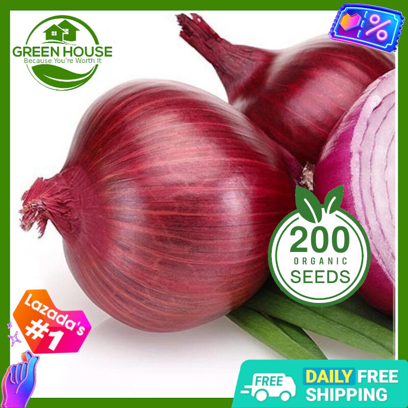 Green House Red Onion Seeds with FREE Planting Instructions