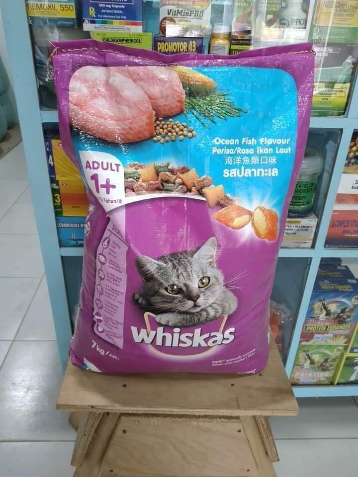 WHISKAS ADULT 7KG 1 SACK DRY CAT FOOD Lazada PH