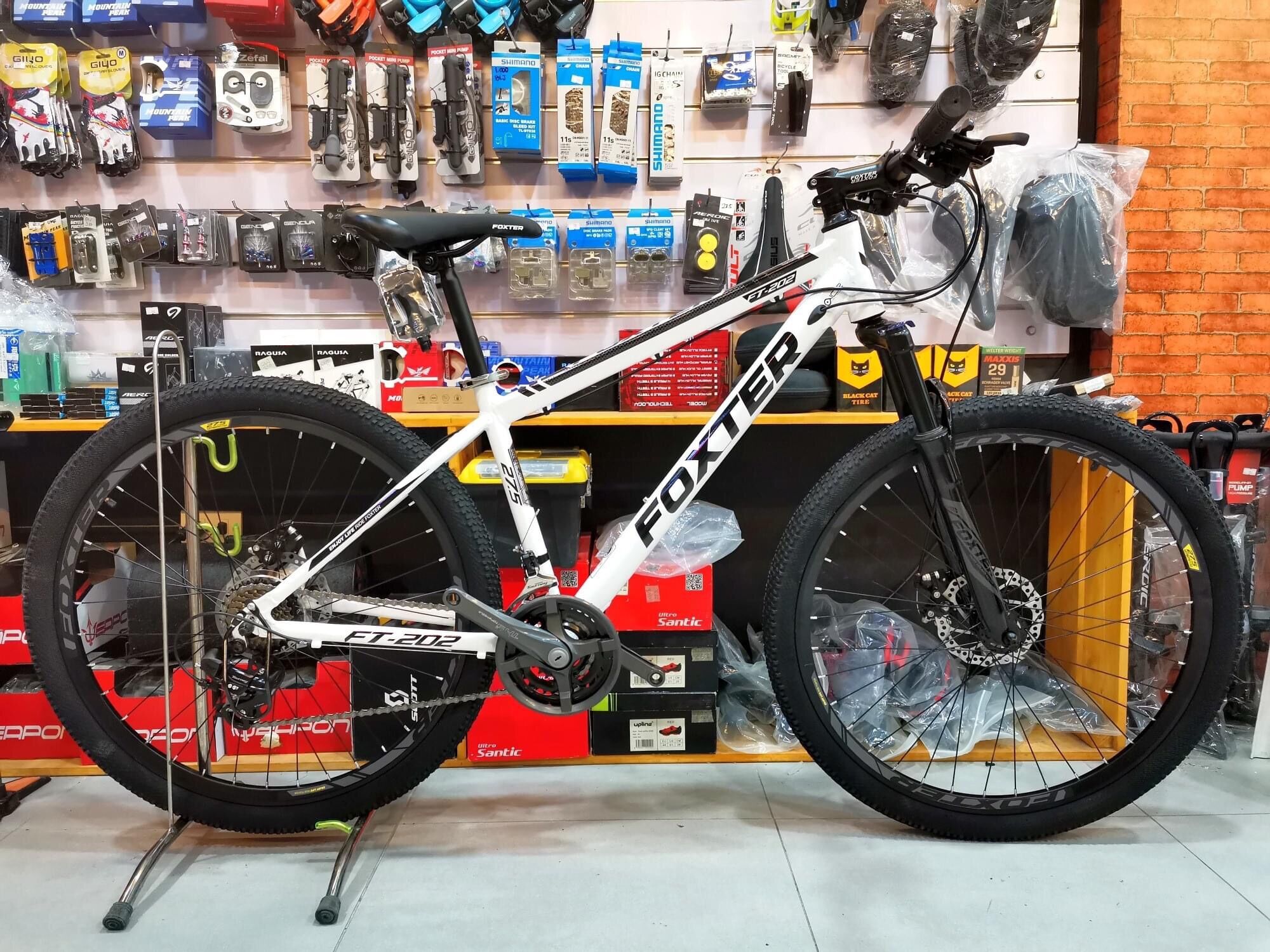 Foxter Powell Foxter Mtb Foxter Mountain Bike Foxter Powell 2021