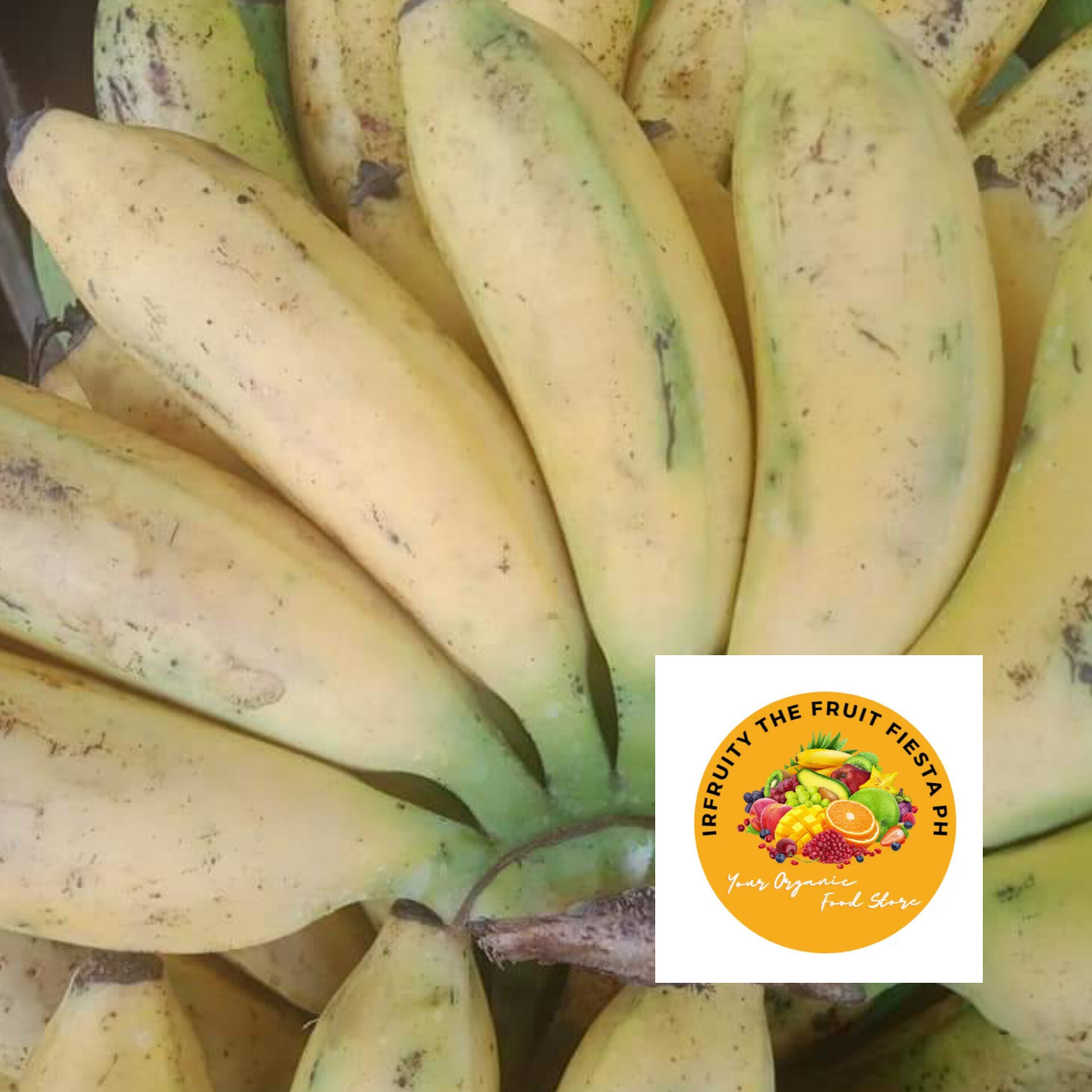 Fresh Banana Tondan 75pesos for 1.kl.(75kilo) Lazada PH