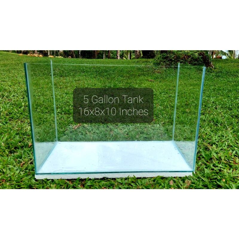 Aquarium Tank 5 Gallon Fish tank | Lazada PH