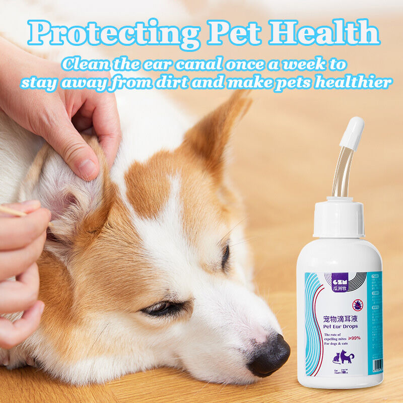 Ear Drops Ear Cleaner For Dogs Diy Effective Solutions For The