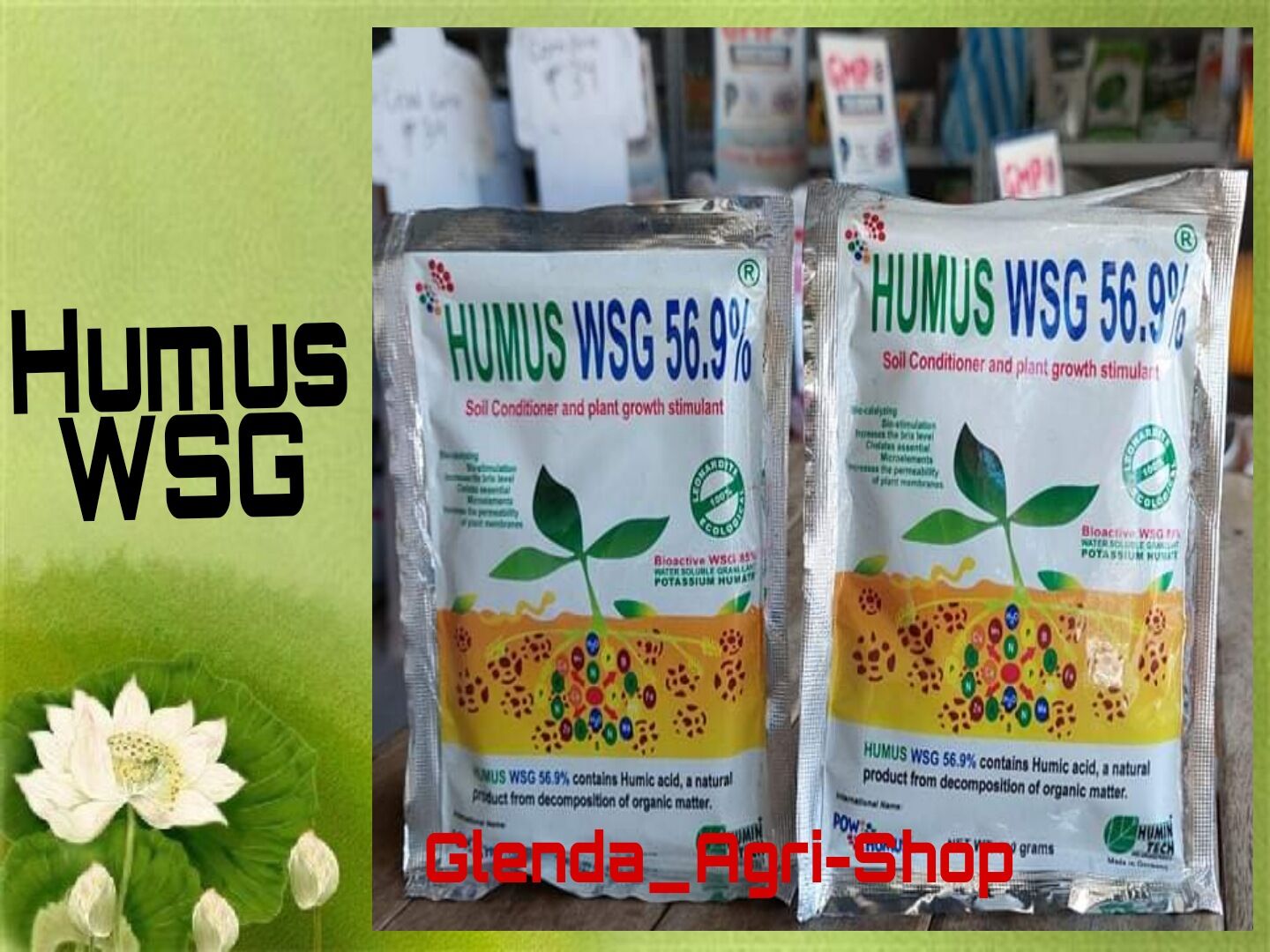 HUMUS WSG 56.9% ( 100 grams ) | Lazada PH