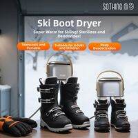 Sothing | Odor Removing & Sterilizing Shoes Dryer