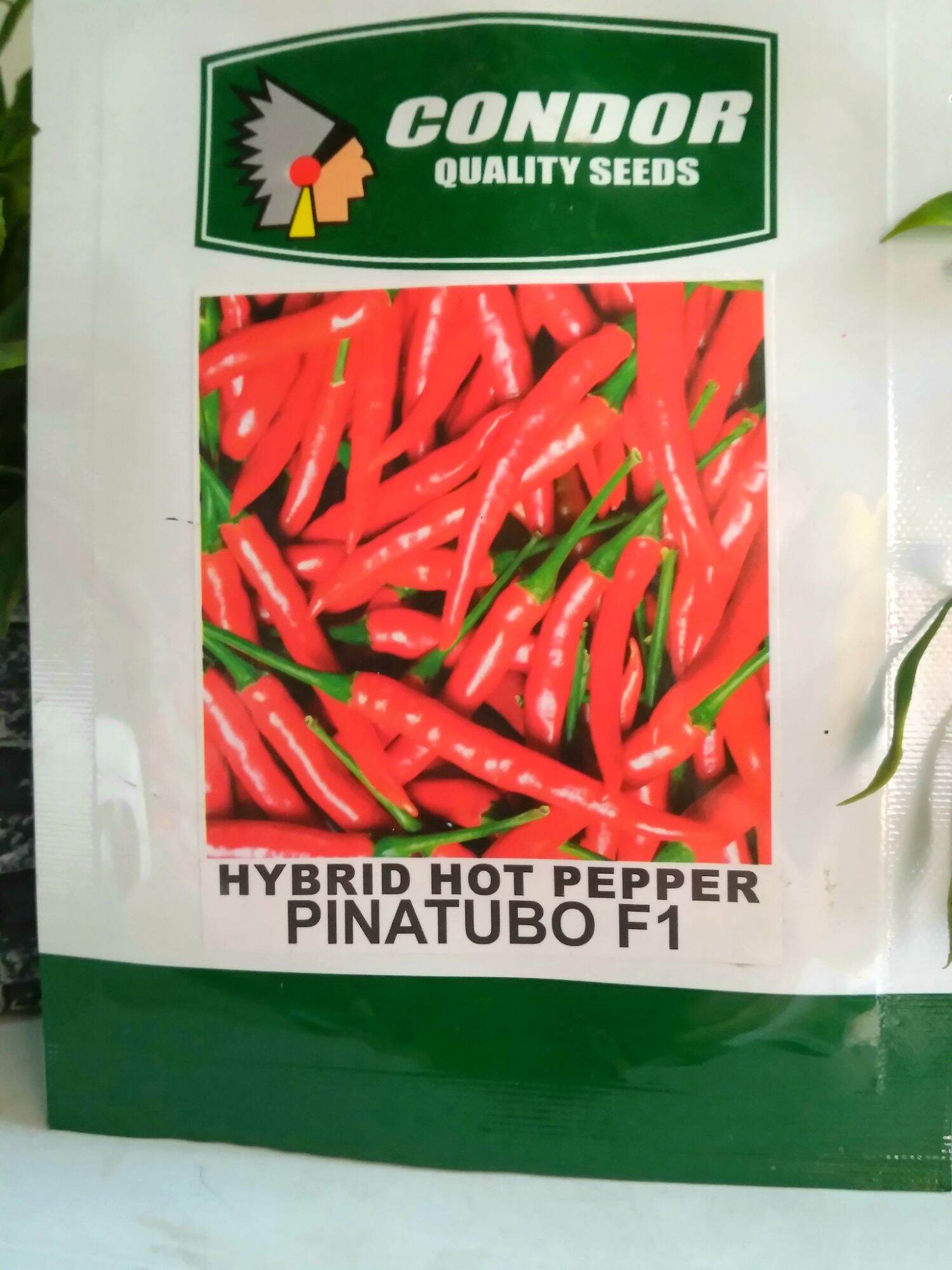 Pinacabo Shell Condor Hybrid Hot Pepper Pinatubo F1 ( 0.5gram ) | Lazada PH