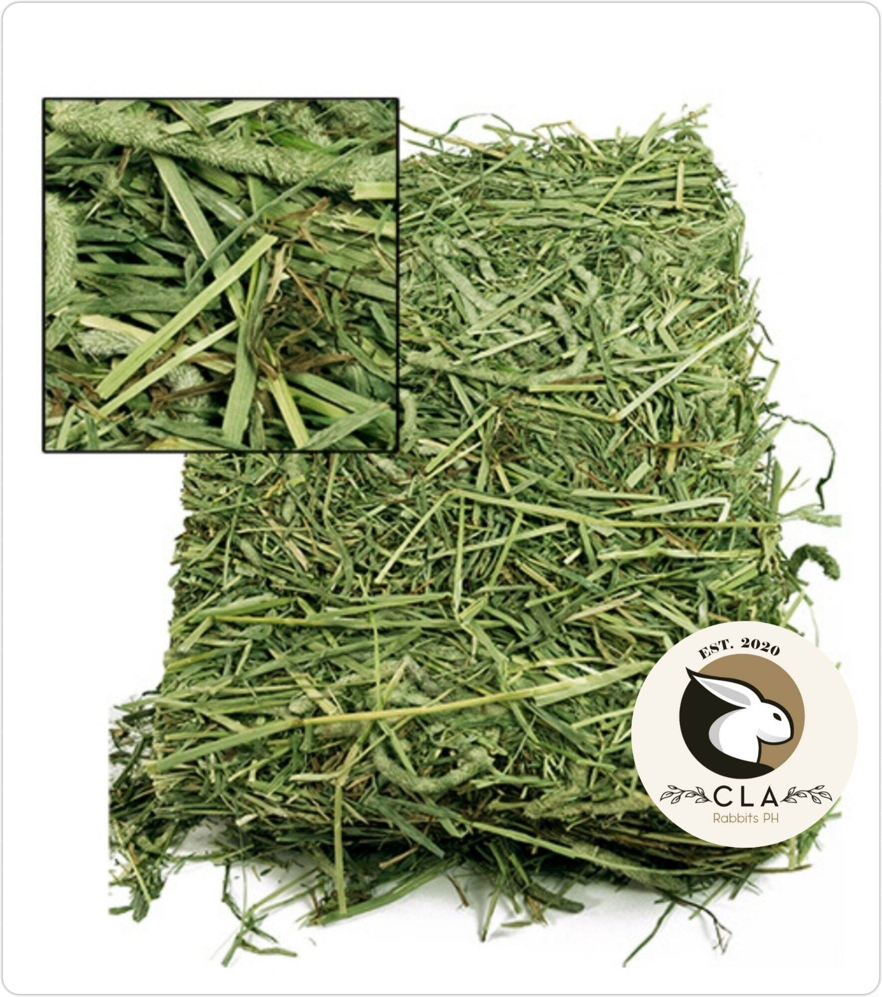 alfalfa hay for rabbits