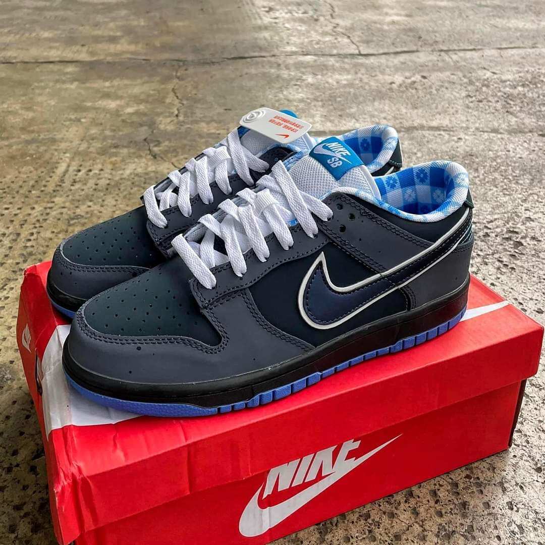 磊 Top 10 Best Nike Sb Shoes of 2024